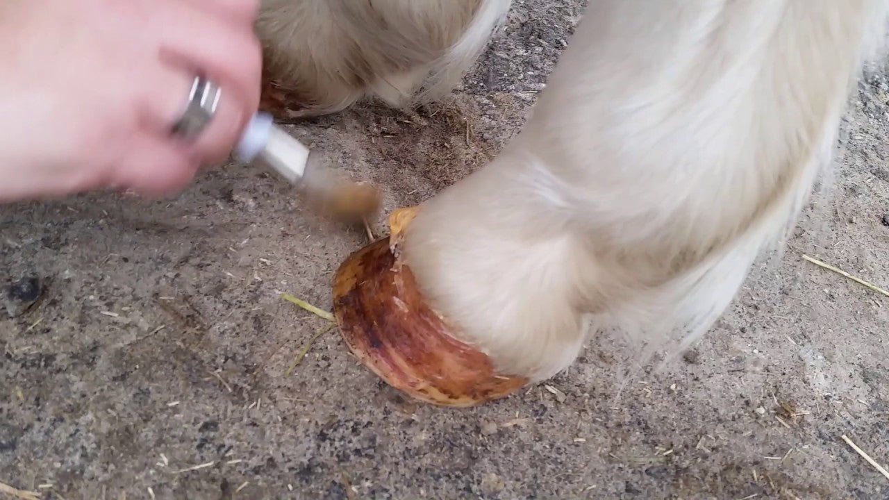 Excellent Horse Hoof Oil Gel 400 g *