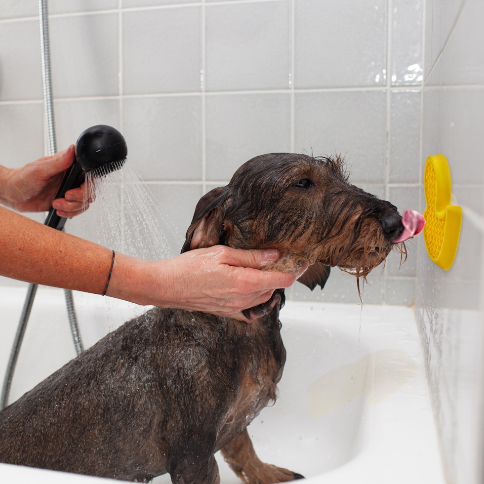 AFP Calm Paws - Bath Anti-anxiety Duck *