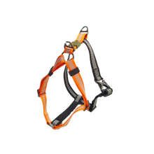 AFP Off Street - Dog Non-Pull Harness Mandarine M