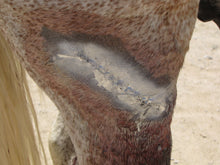 Excellent Aluminium Spray *