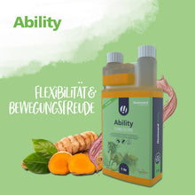 Hestevard Ability - 1L