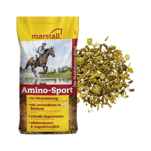 Amino-Sport
