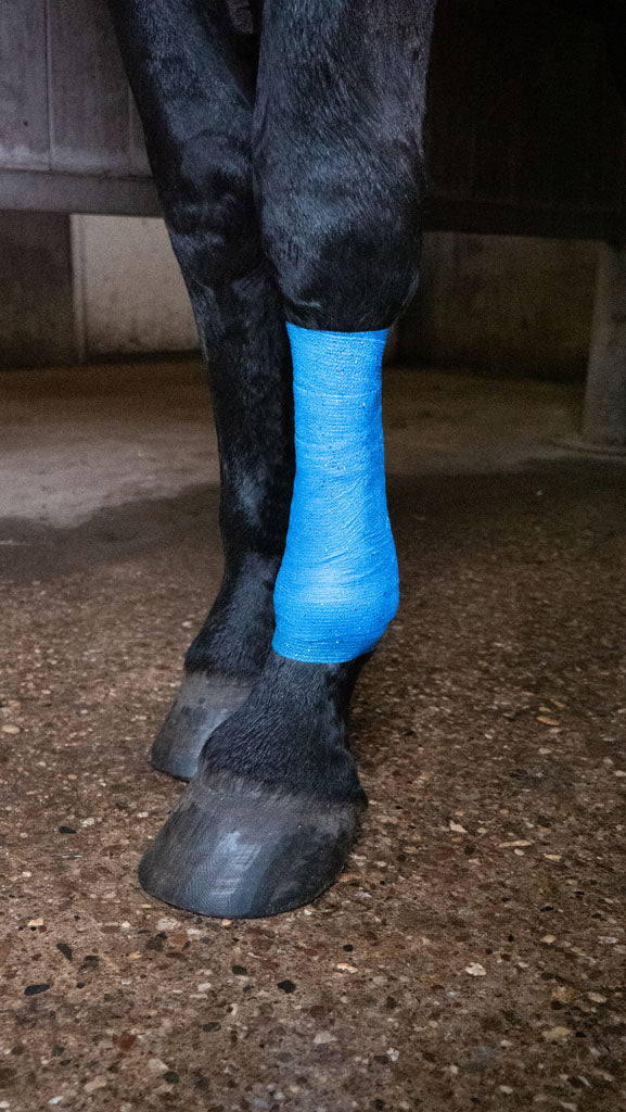 Excellent Animal Glitter Bandage Pro 10 cm - Blue *