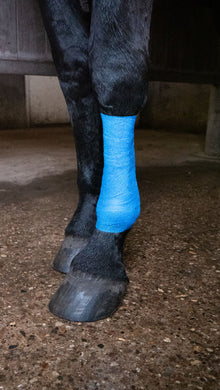 Excellent Animal Glitter Bandage Pro 10 cm - Blue *