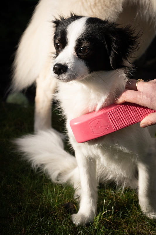 Excellent Pets Grooming Brush Medium Rosa *