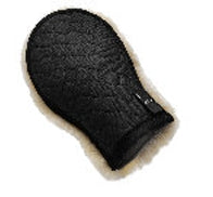 Putzhandschuh