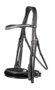 Aachen Large p crank NB double bridle