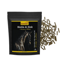Biotin & Zink