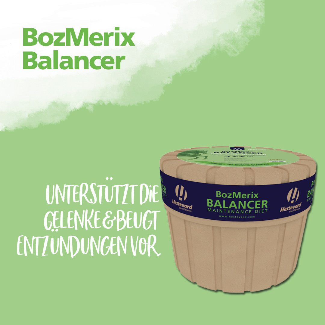 Hestevard BozMerix Balancer - 10kg