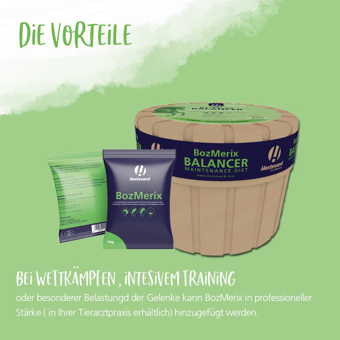 Hestevard BozMerix Balancer - 10kg