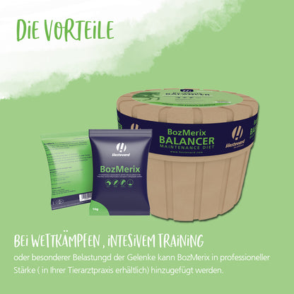 Hestevard BozMerix Balancer - 10kg