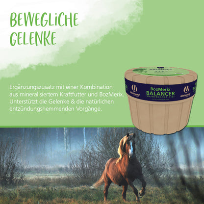 Hestevard BozMerix Balancer - 10kg