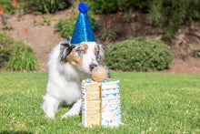 Chuckit! Birthday Fetch Ball M *