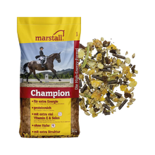Champion