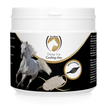 Excellent Horse Deep Ice Cooling Clay 500 g *