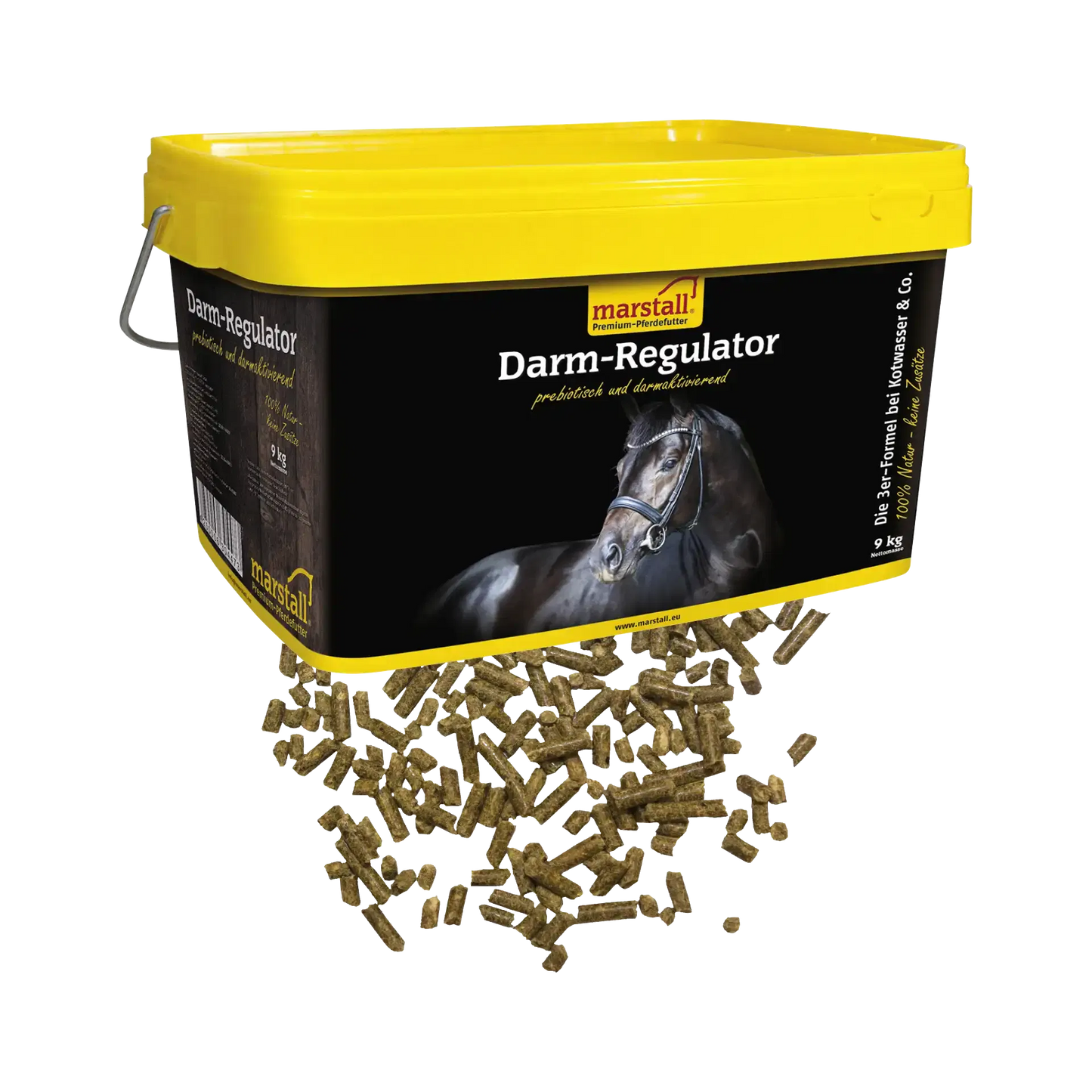 Darm-Regulator
