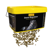 Darm-Regulator