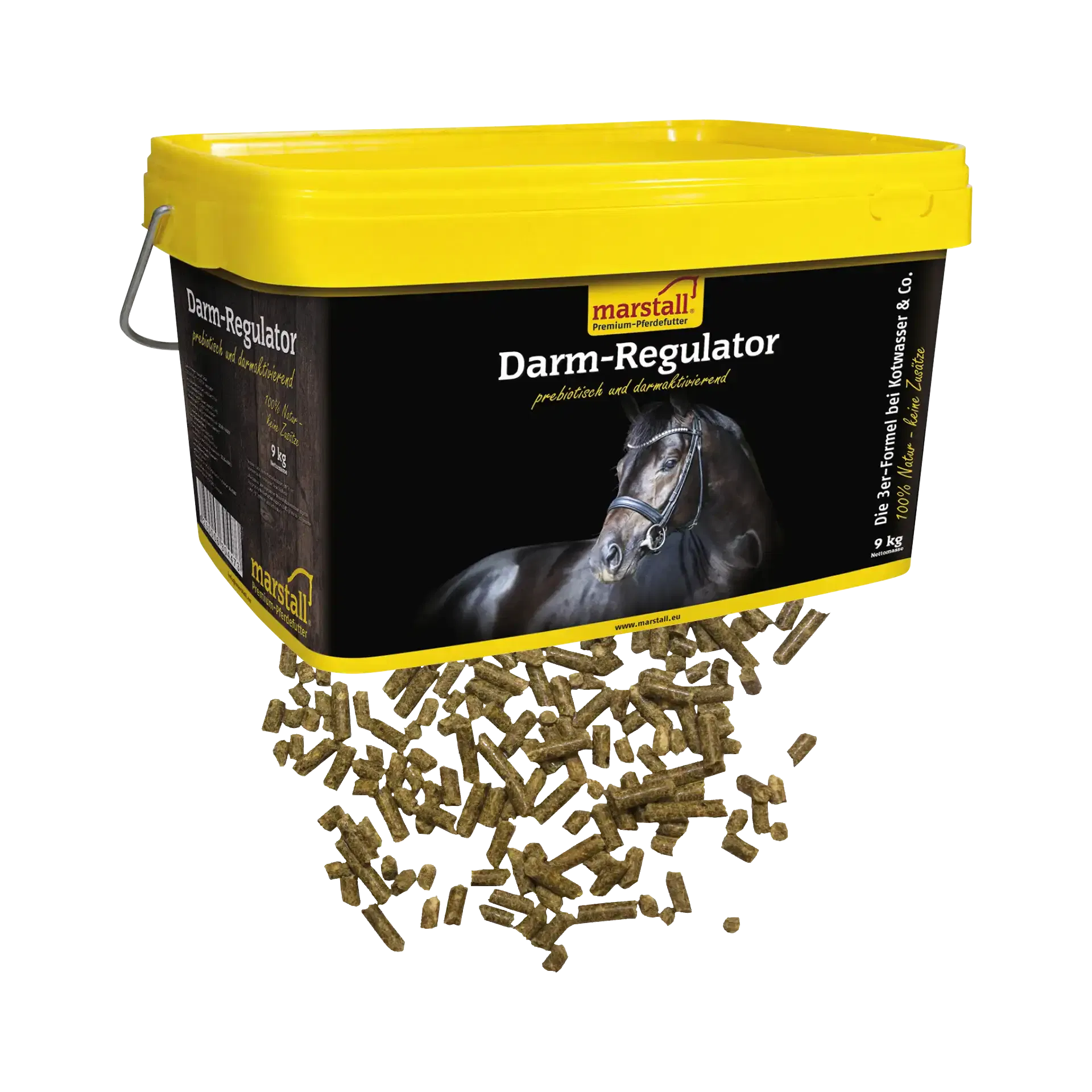 Darm-Regulator