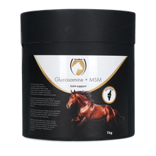 Excellent Horse Glucosamine + MSM 1 kg *