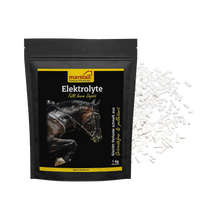 Elektrolyte