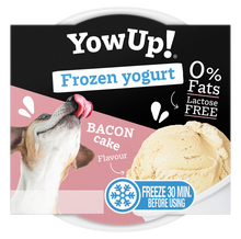 YowUp! Frozen Yoghurt Bacon Cake