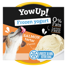 YowUp! Frozen Yoghurt Salmon Tartar