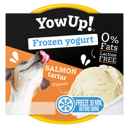 YowUp! Frozen Yoghurt Salmon Tartar *