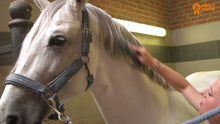Paardenpraat TV Glanz Spray 250 ml