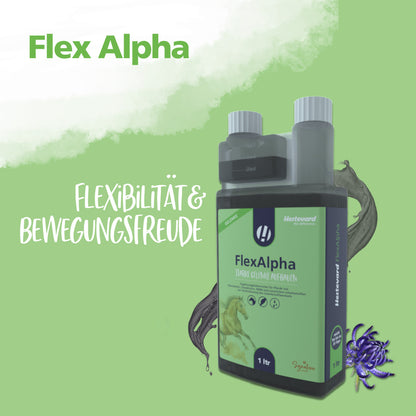 Hestevard FlexAlpha - 1L