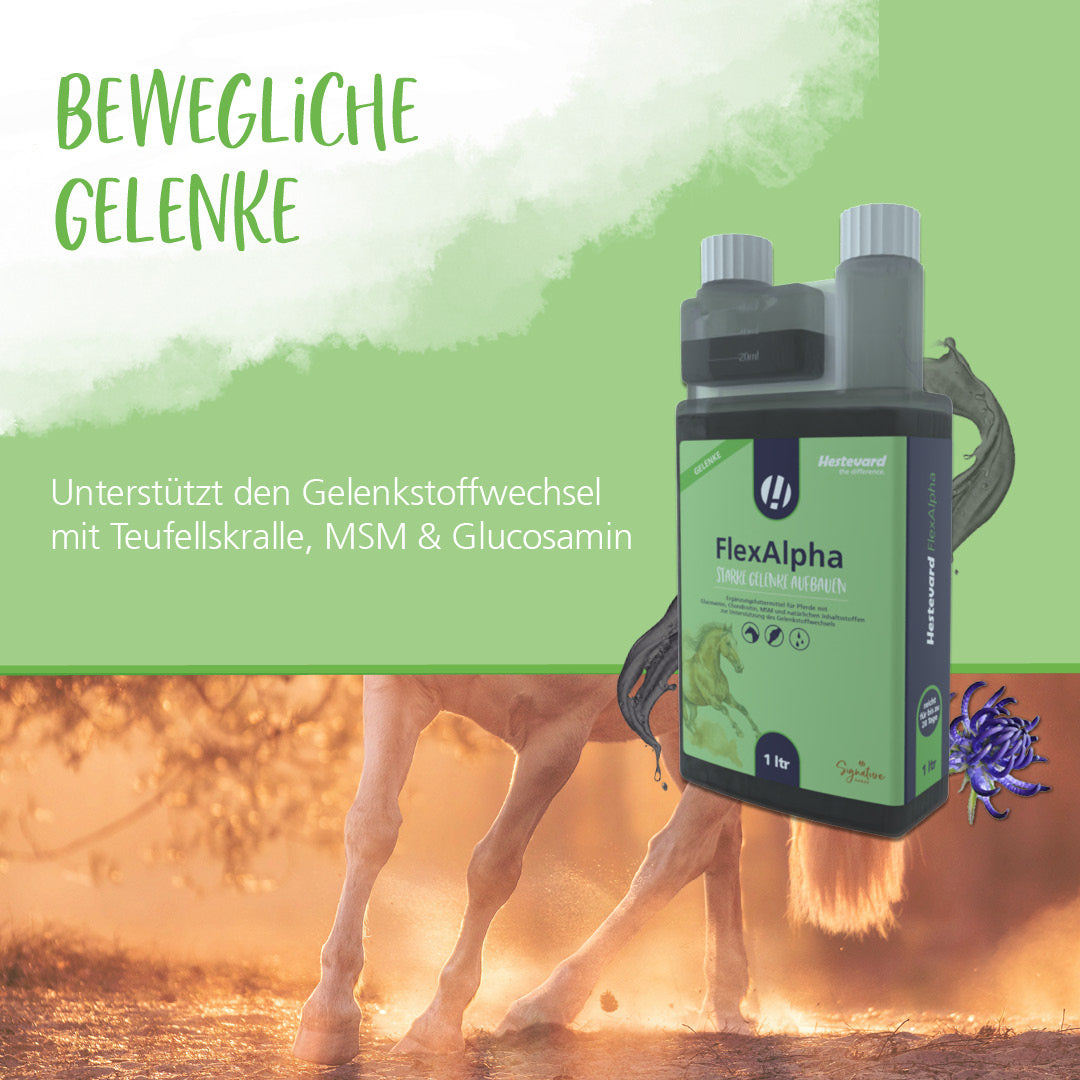 Hestevard FlexAlpha - 1L