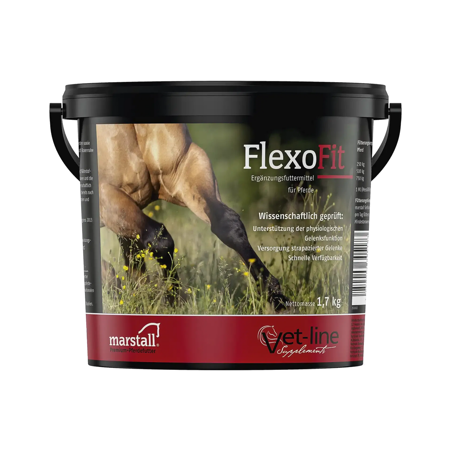 FlexoFit