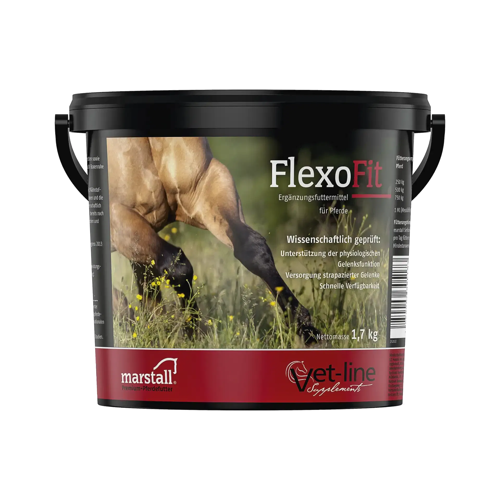 FlexoFit