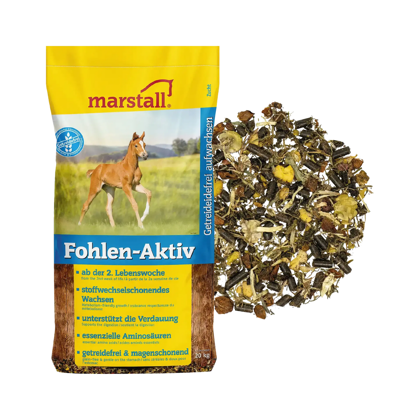Fohlen-Aktiv
