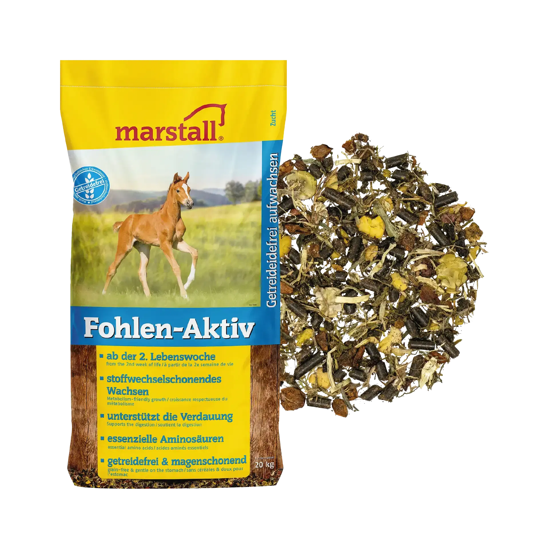 Fohlen-Aktiv