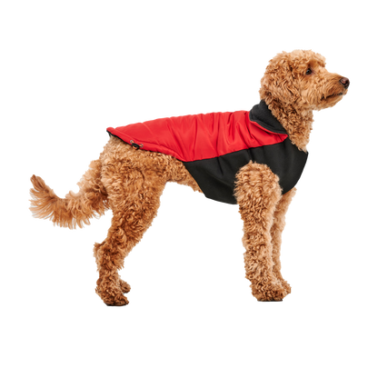 Goo-eez Mock Neck Signature Wrap Jacket M Rot/Schwarz *