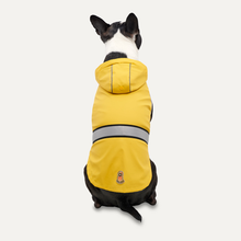 Goo-eez Reflective Hooded Raincoat L Gelb/Grau *