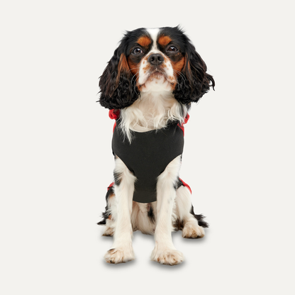 Goo-eez Kangaroo Fleece Hoodie XXS Rot/Schwarz *