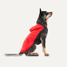 Goo-eez Kangaroo Fleece Hoodie XS Rot/Schwarz *