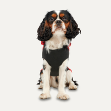 Goo-eez Kangaroo Fleece Hoodie S Rot/Schwarz *