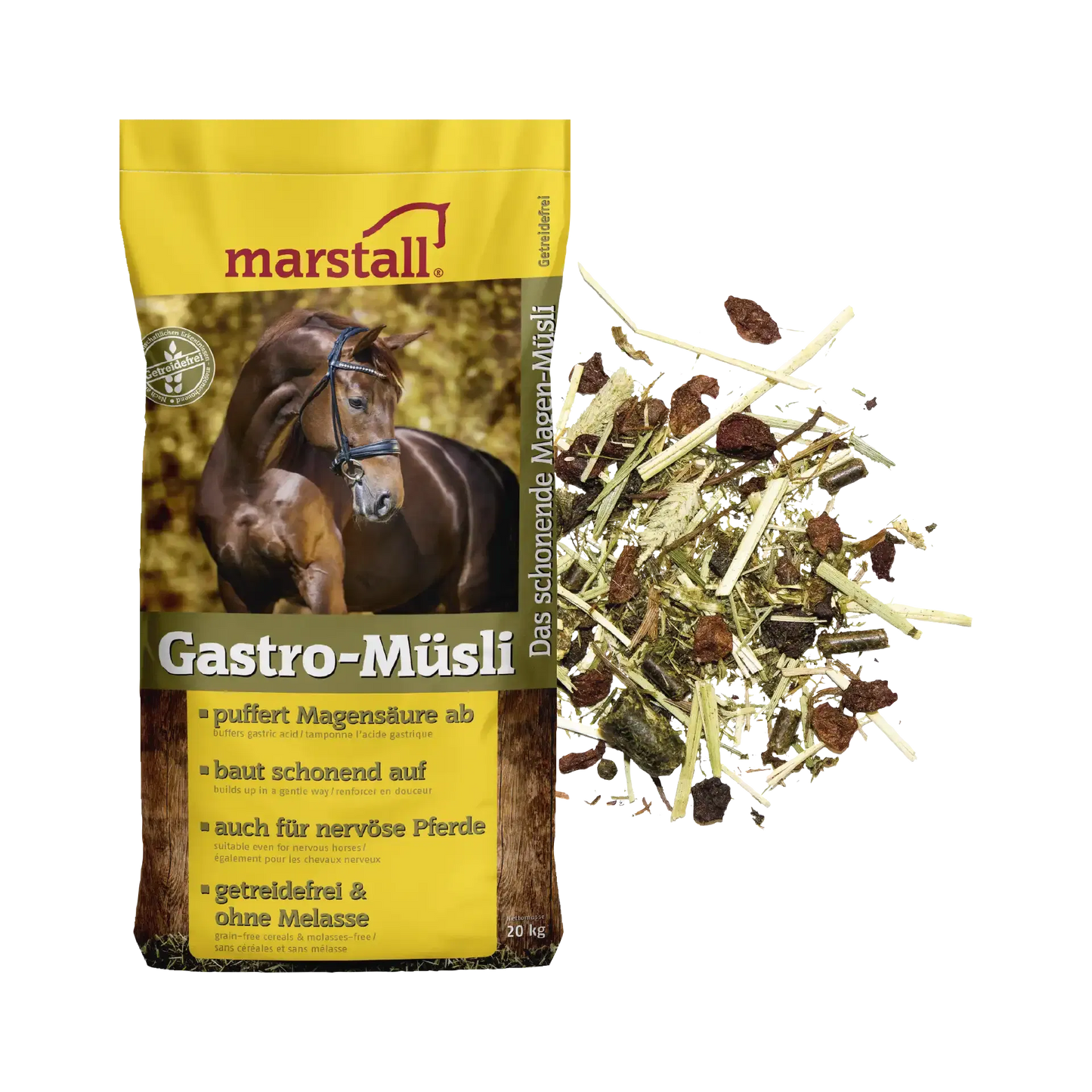 Gastro