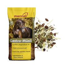 Gastro