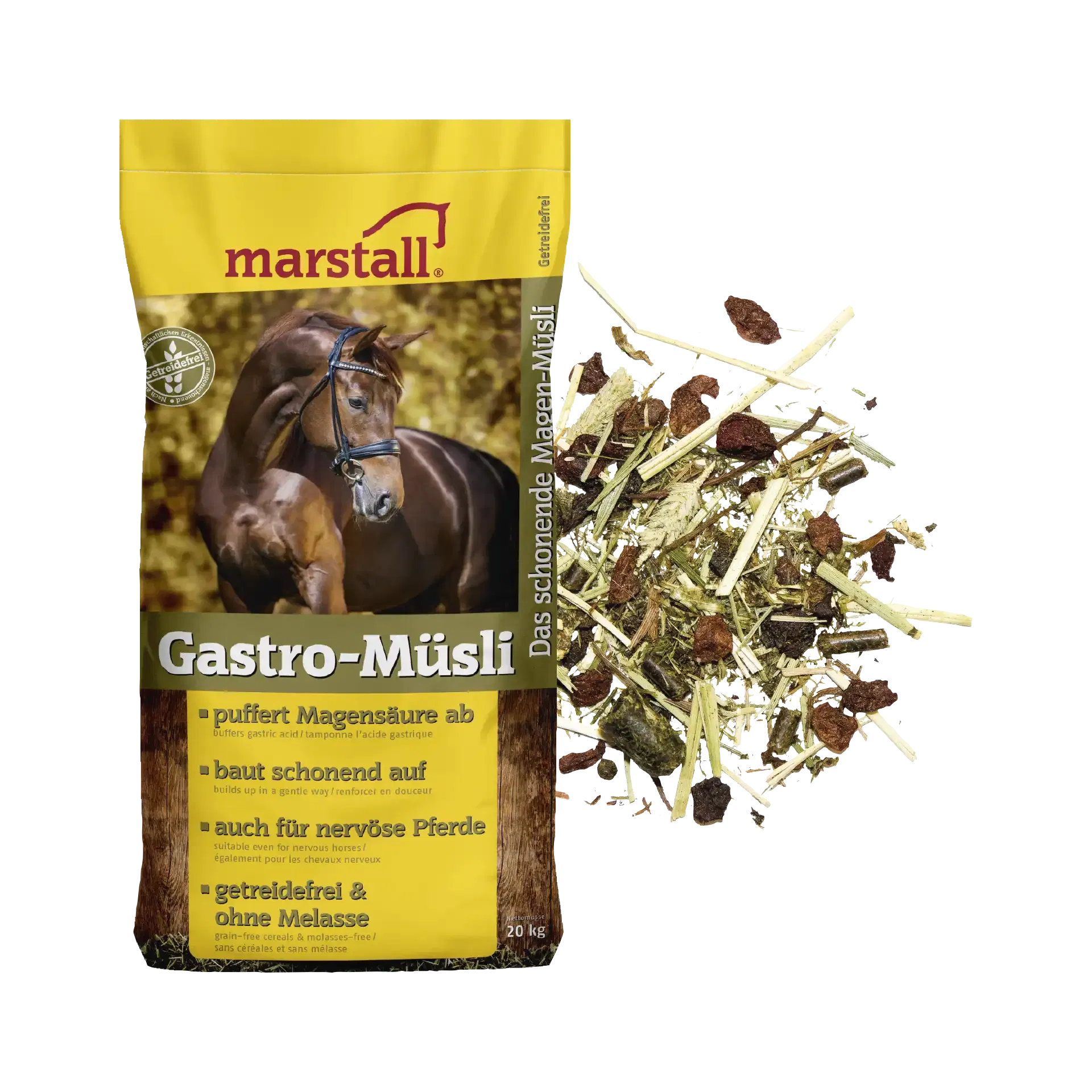 Gastro