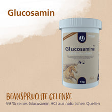 Hestevard Glucosamin HCl