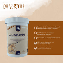 Hestevard Glucosamin HCl