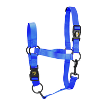 Excellent Essential Halfter Blau XL *