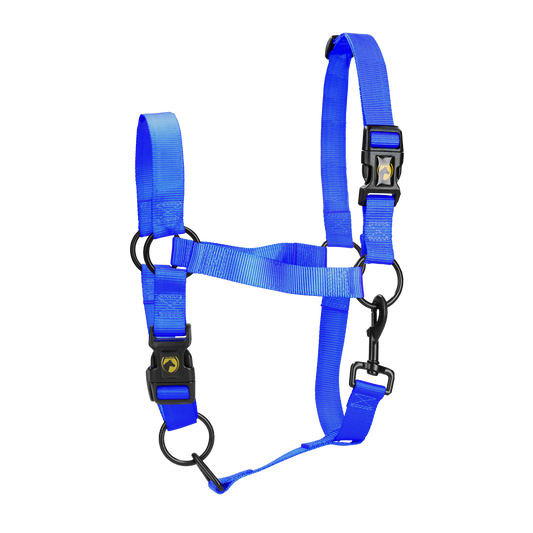 Excellent Essential Halfter Blau XL *