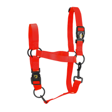 Excellent Essential Halfter Rot XL *