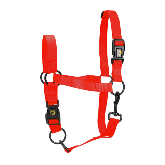 Excellent Essential Halfter Rot XL *