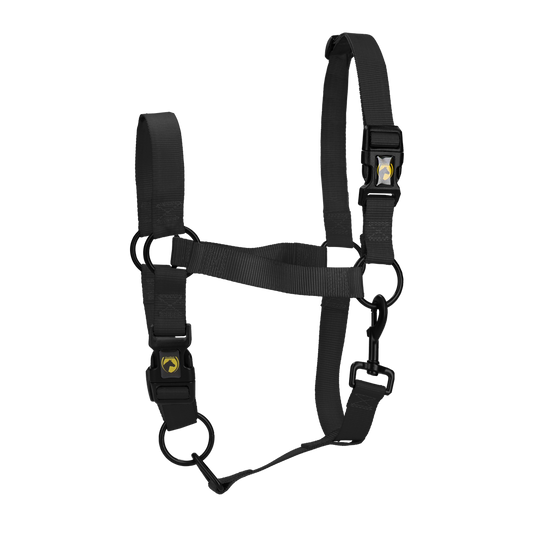 Excellent Essential Halfter Schwarz XL *