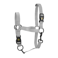 Excellent Essential Halfter Grau XL *